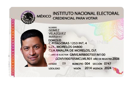 Mexican ID Card Example